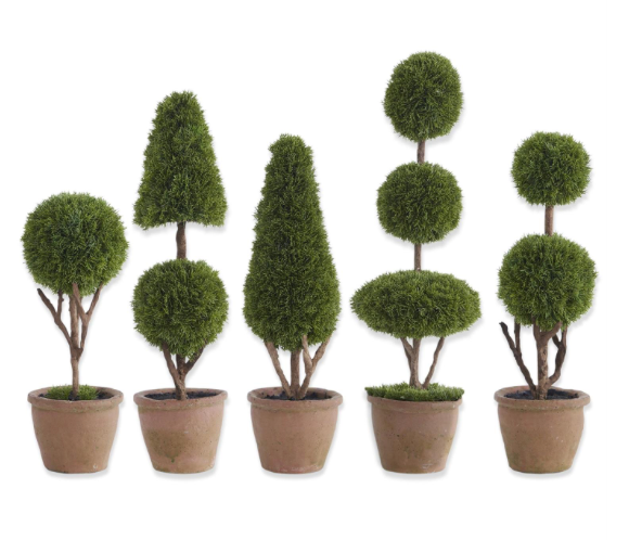 SET OF 5 CYPRESS TOPIARY TREES IN POTS