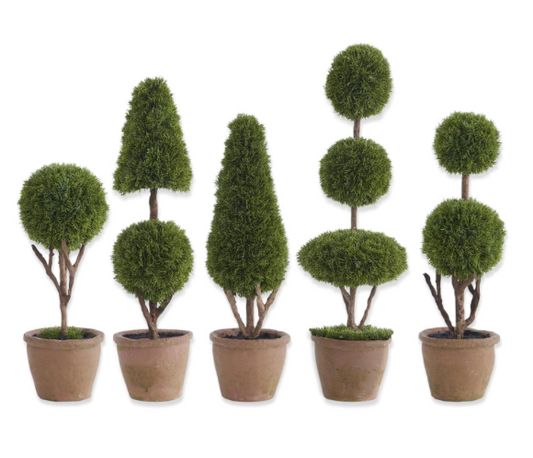 SET OF 5 CYPRESS TOPIARY TREES IN POTS
