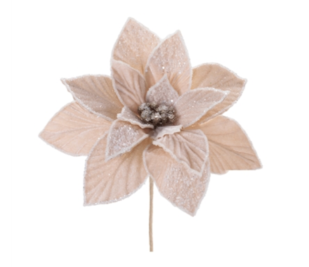 Poinsettia Stem