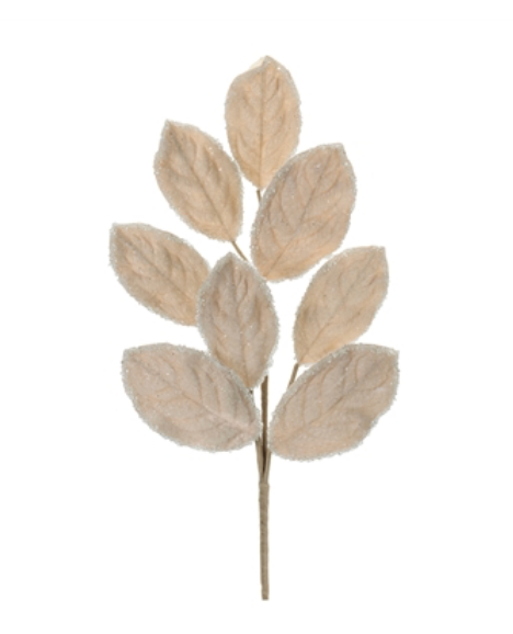 Magnolia Leaf Spray