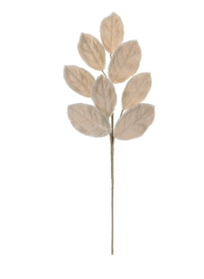 Magnolia Leaf Spray