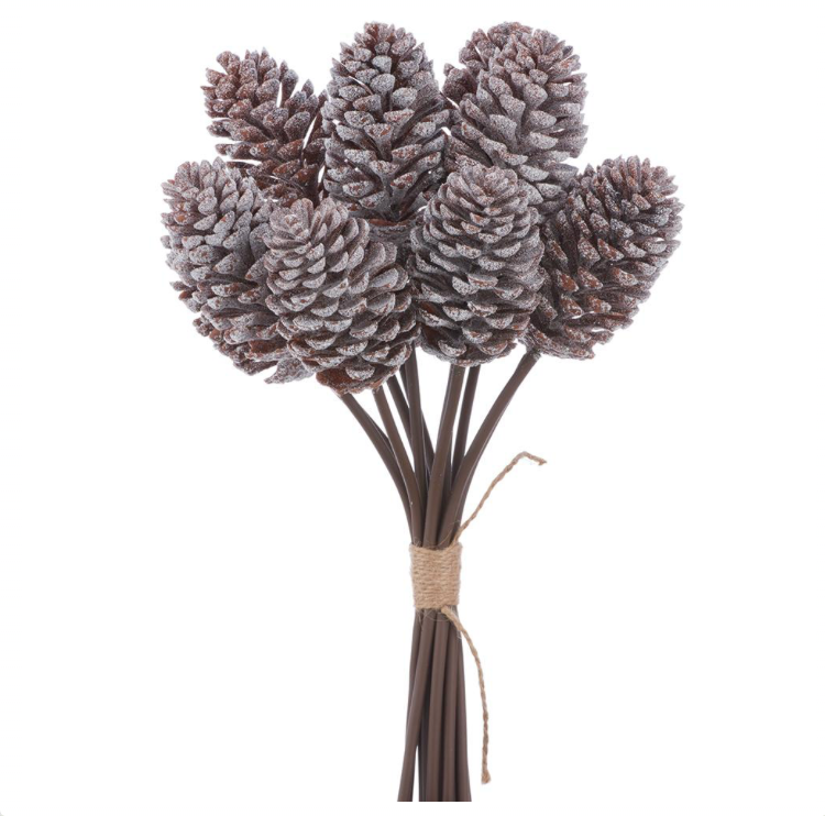 Pine Cone Bundle