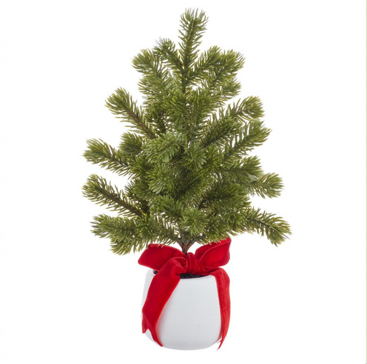 Spruce Tree in Cement Pot