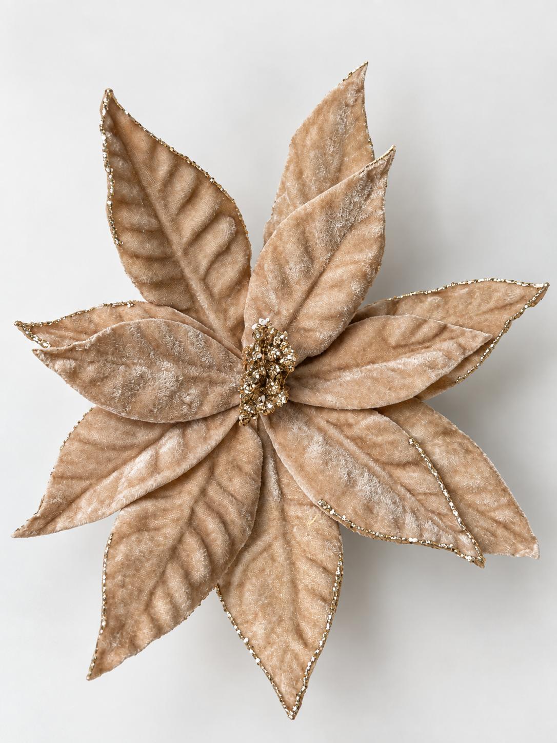 Poinsettia Stem