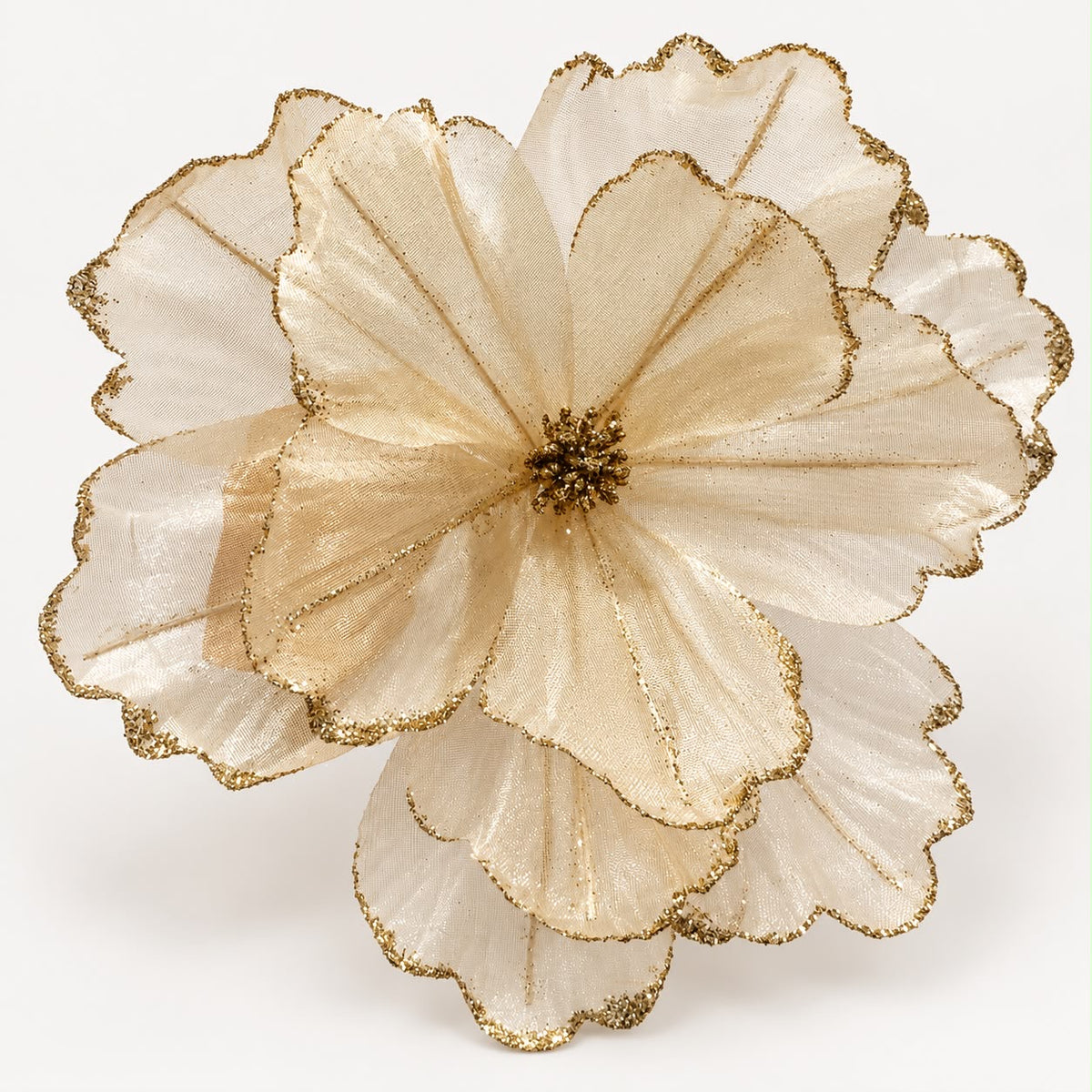 Sheer Magnolia Stem